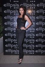 at Ellipsis launch hosted by Arjun Khanna in Mumbai on 6th July 2012 (153).JPG
